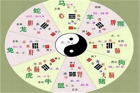 禧五行|禧字的五行属性